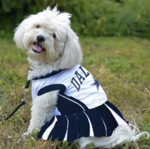 NFL Dallas Cowboys Cheerleader Dog Dress